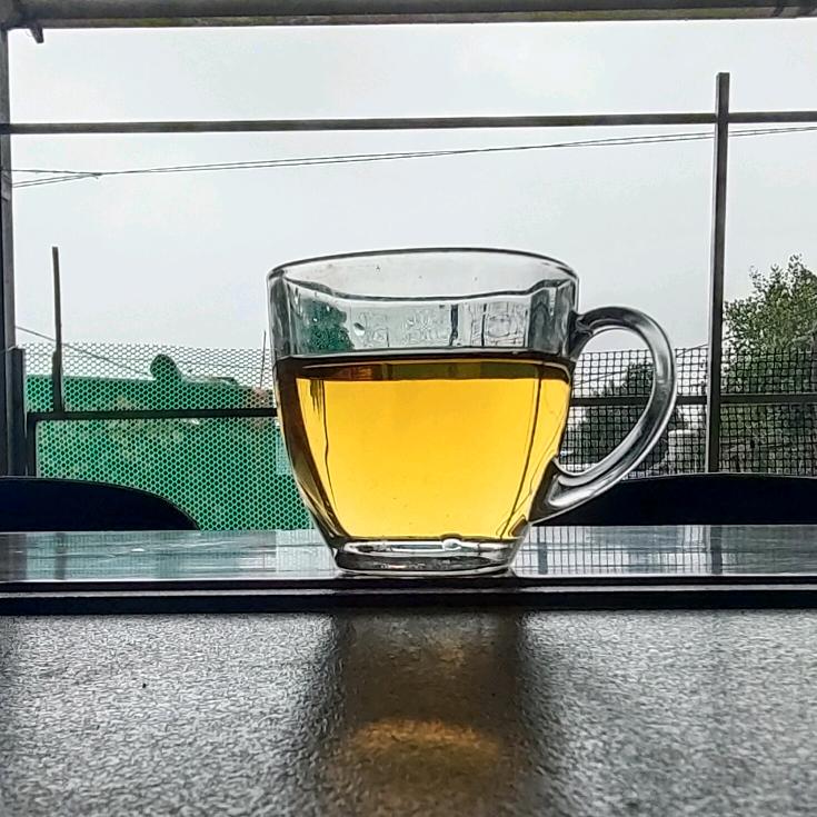 王子山茶 自采自销