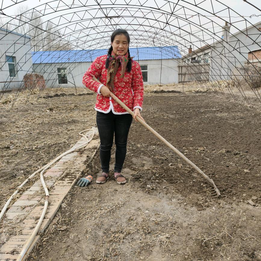 万宝三姐&爱大米$