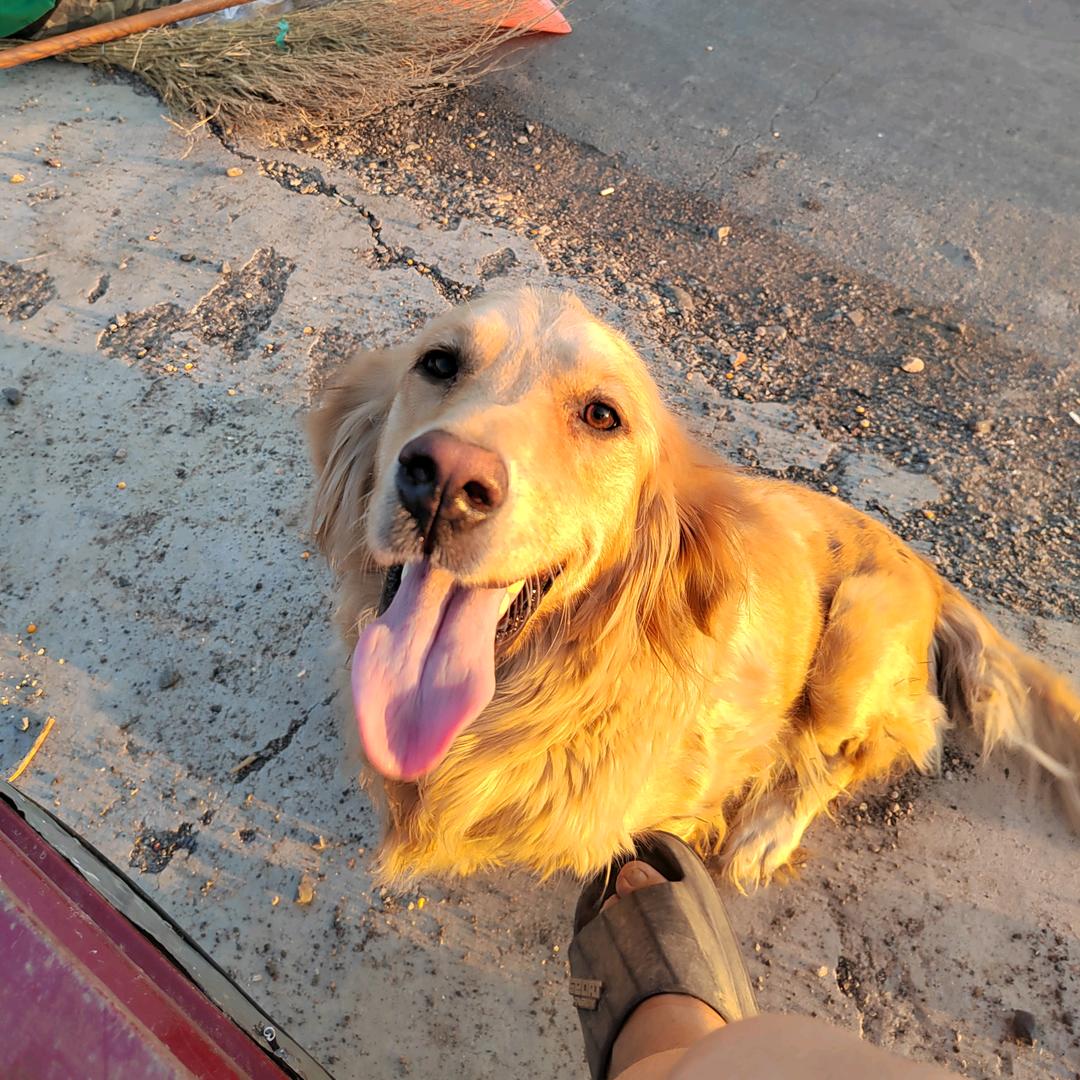 @黄土高原一棵树