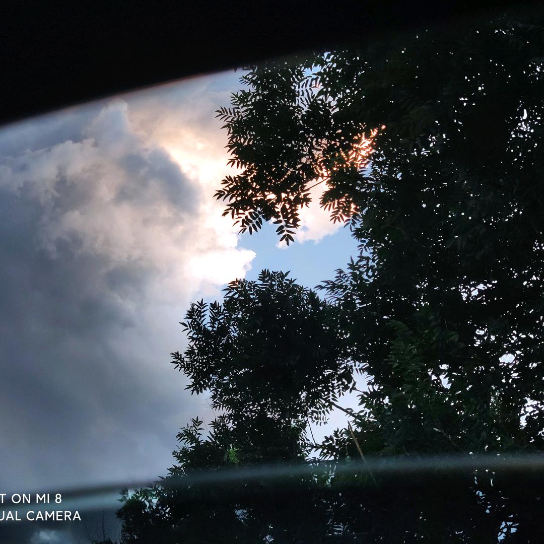 再睡亿分钟💤💤💤