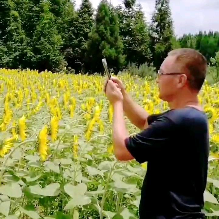 阿那黑尔