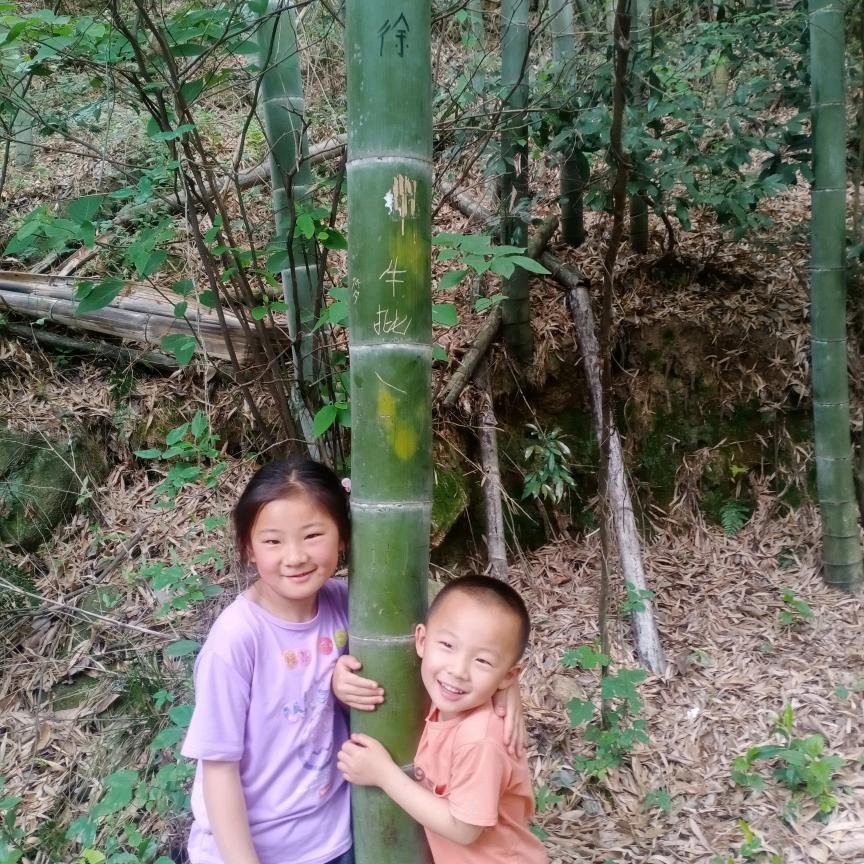 挖机霞姐