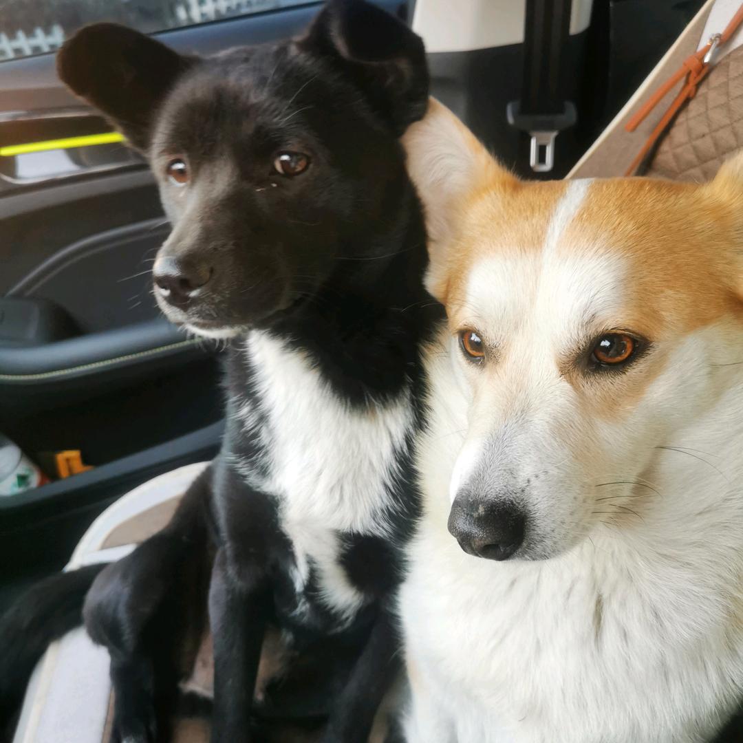 旺旺兵的朋友圈