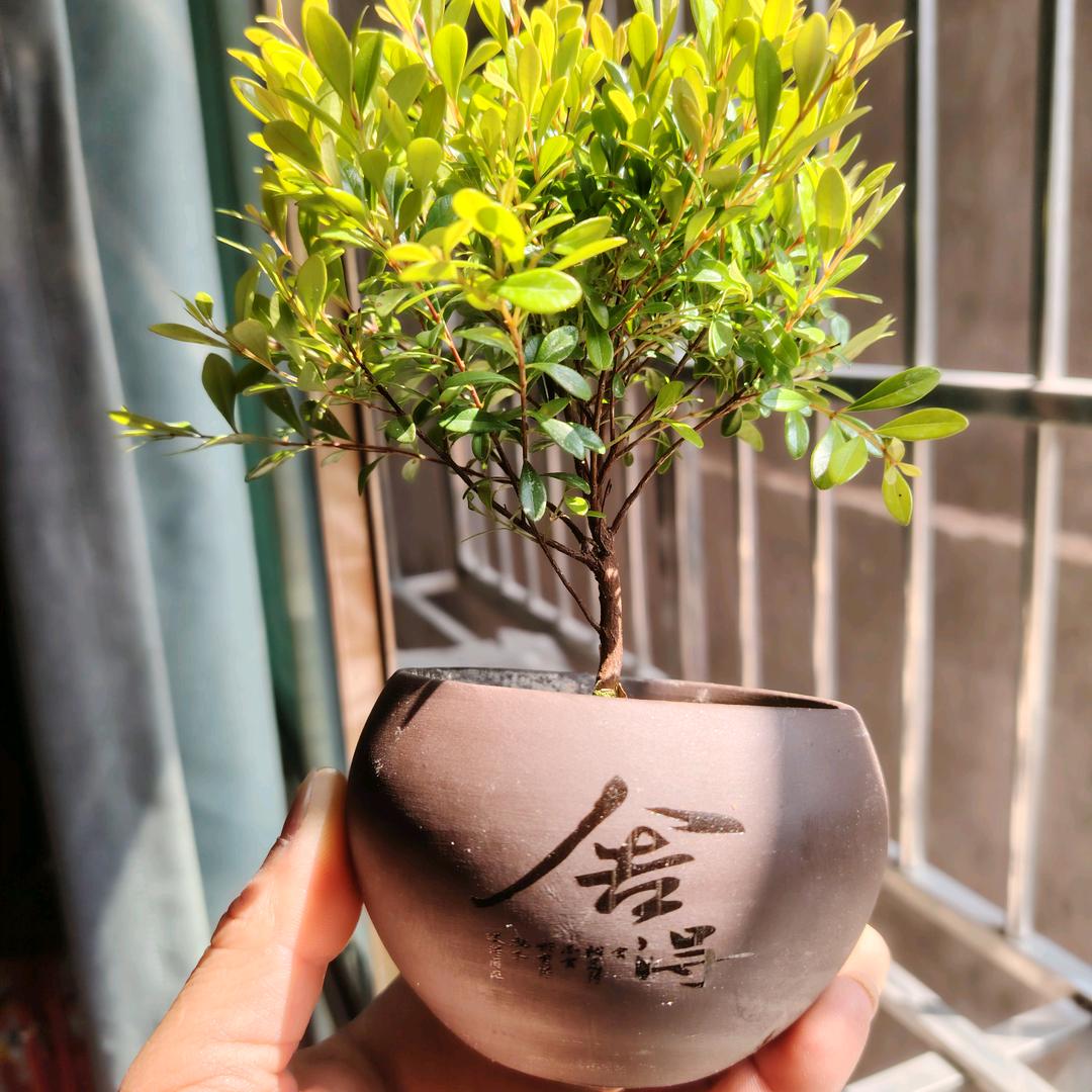 蓝色星球