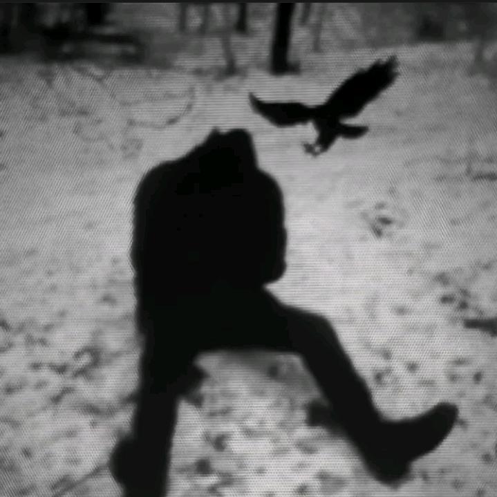 拉屎是很爽的一件事