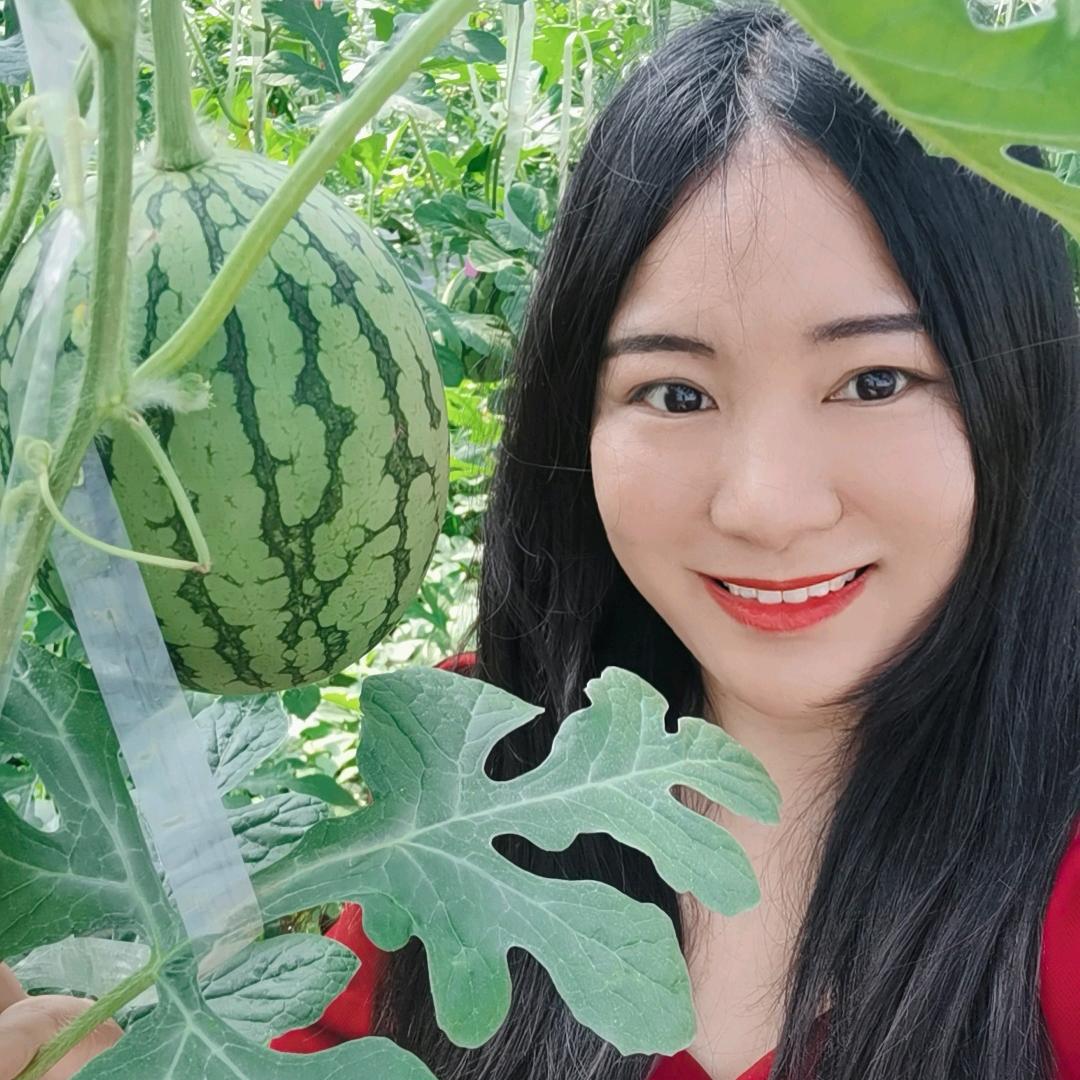 荆门特产伊宁