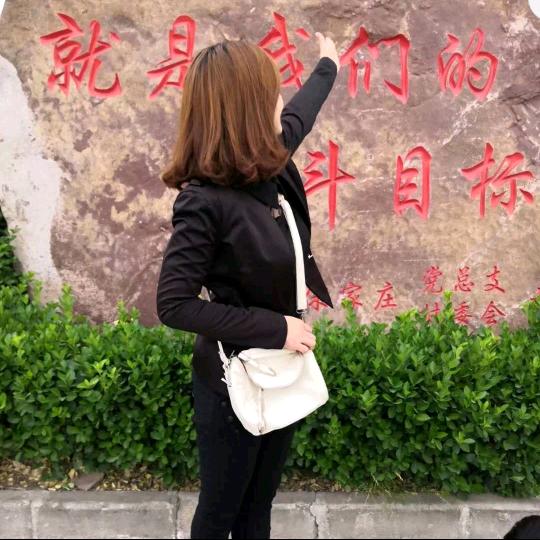 粉墨戏曲