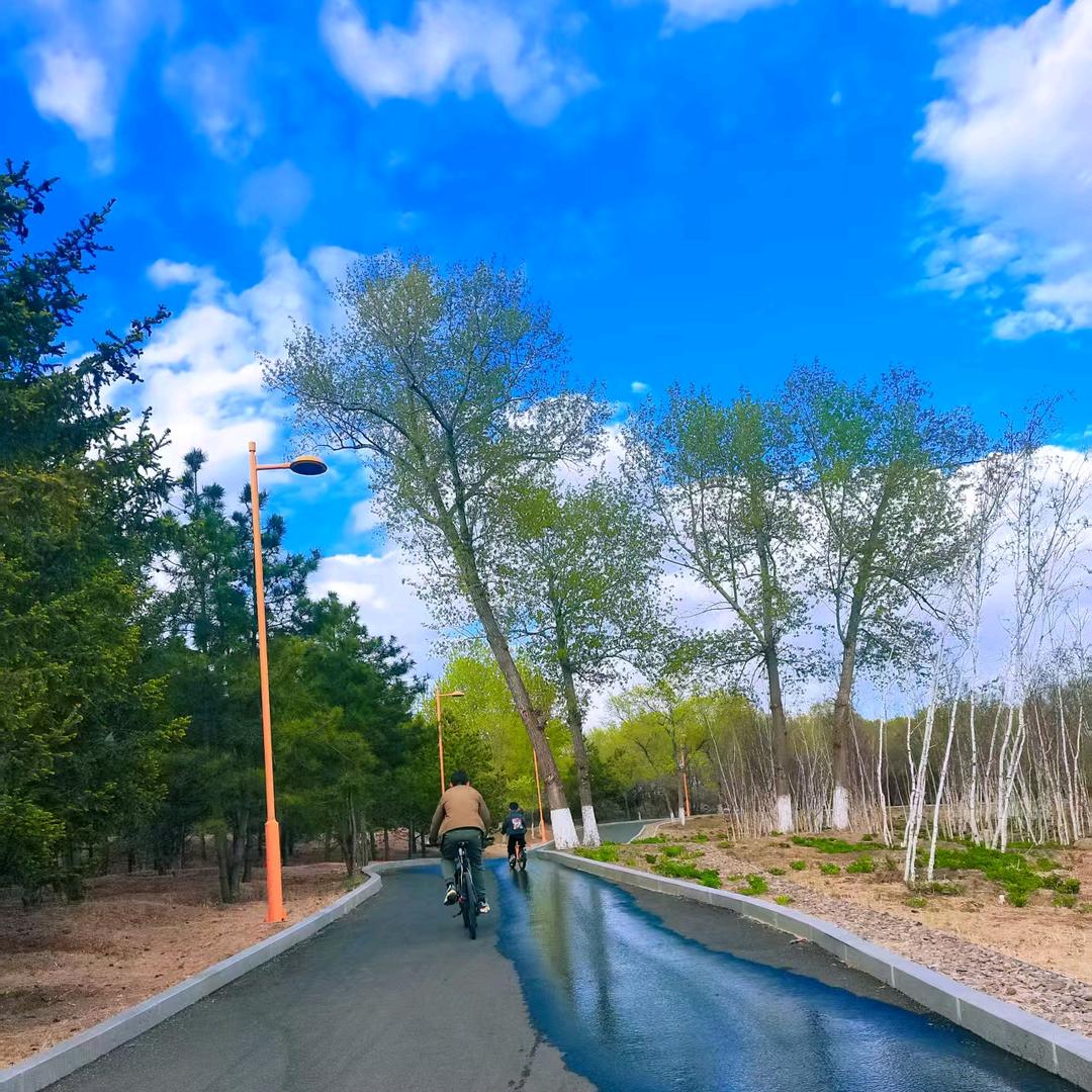 谭跑跑