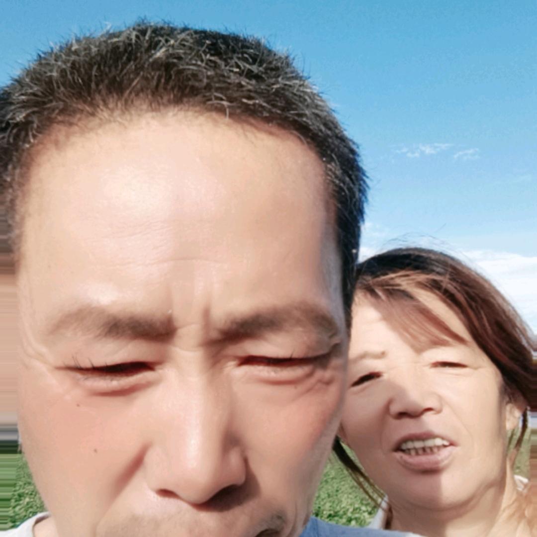 崔贺宝