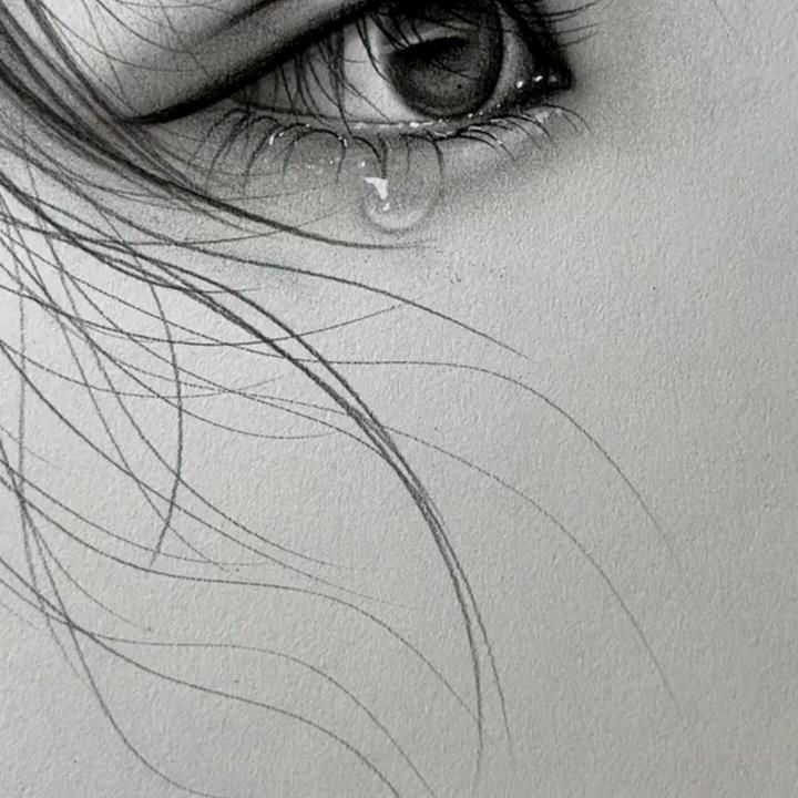 🌹🌹🌹🌹🌹🌹