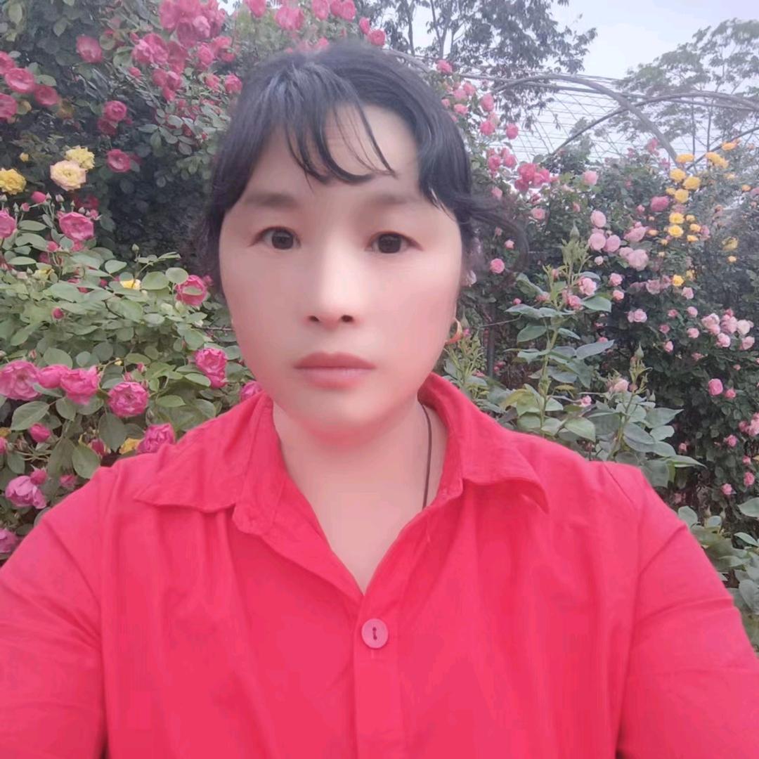 小慧聊天直播
