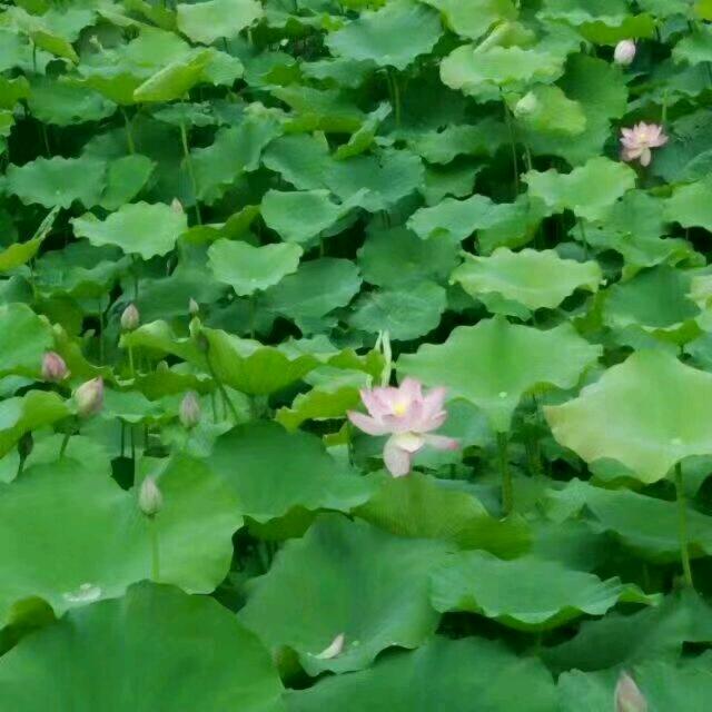 单身累