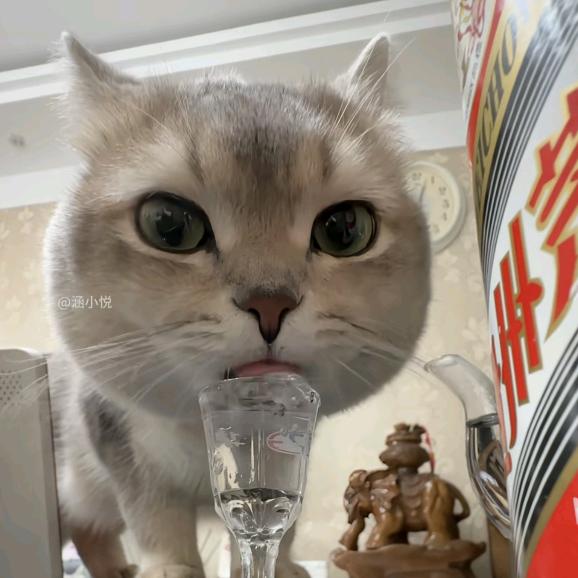 手机