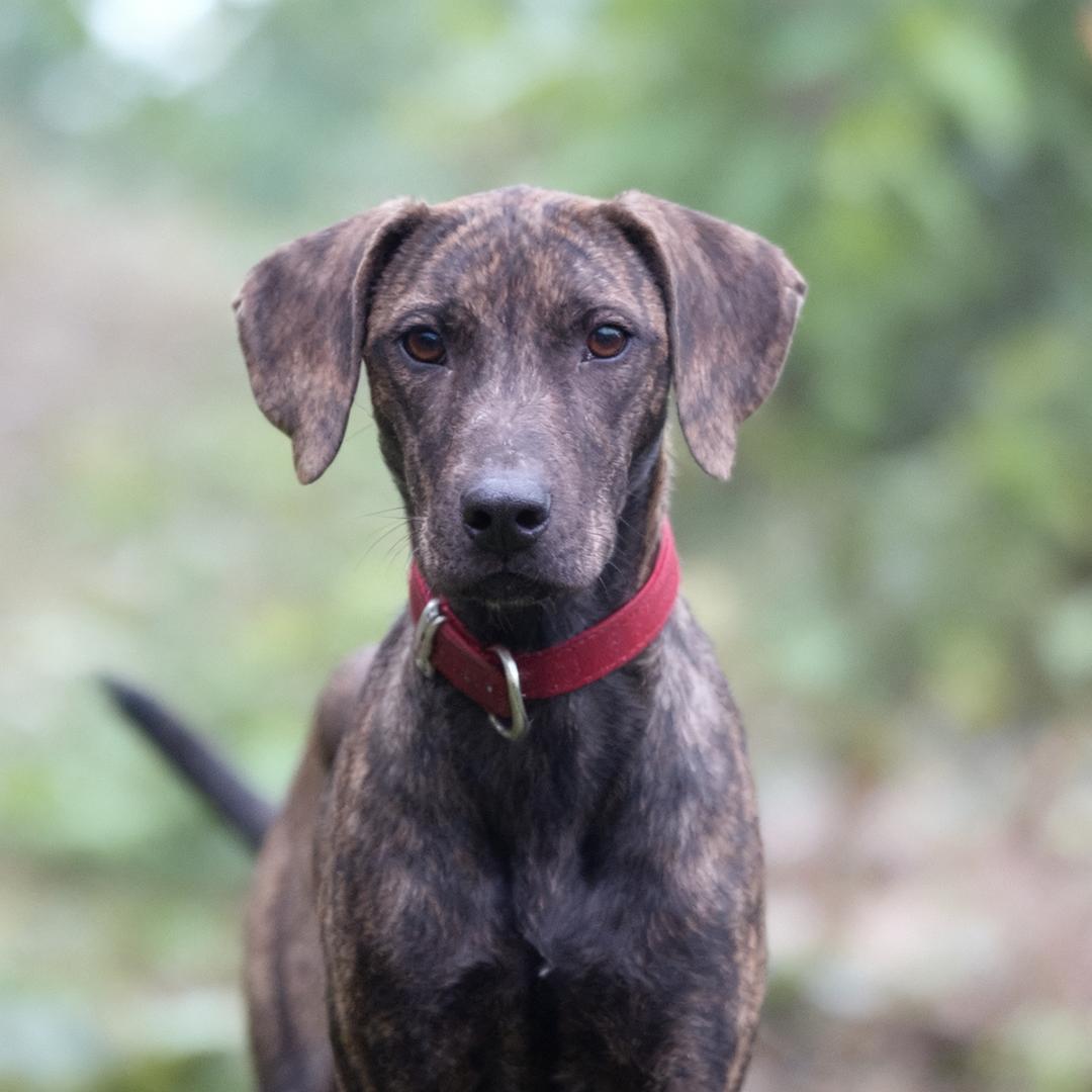 ▎　　　꫞꯭安寬帶的小鄭꫞