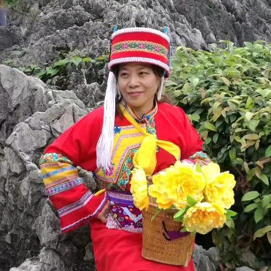 红豆  橱窗有好物