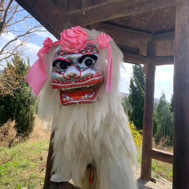 灵宝孝狮（菲儿）