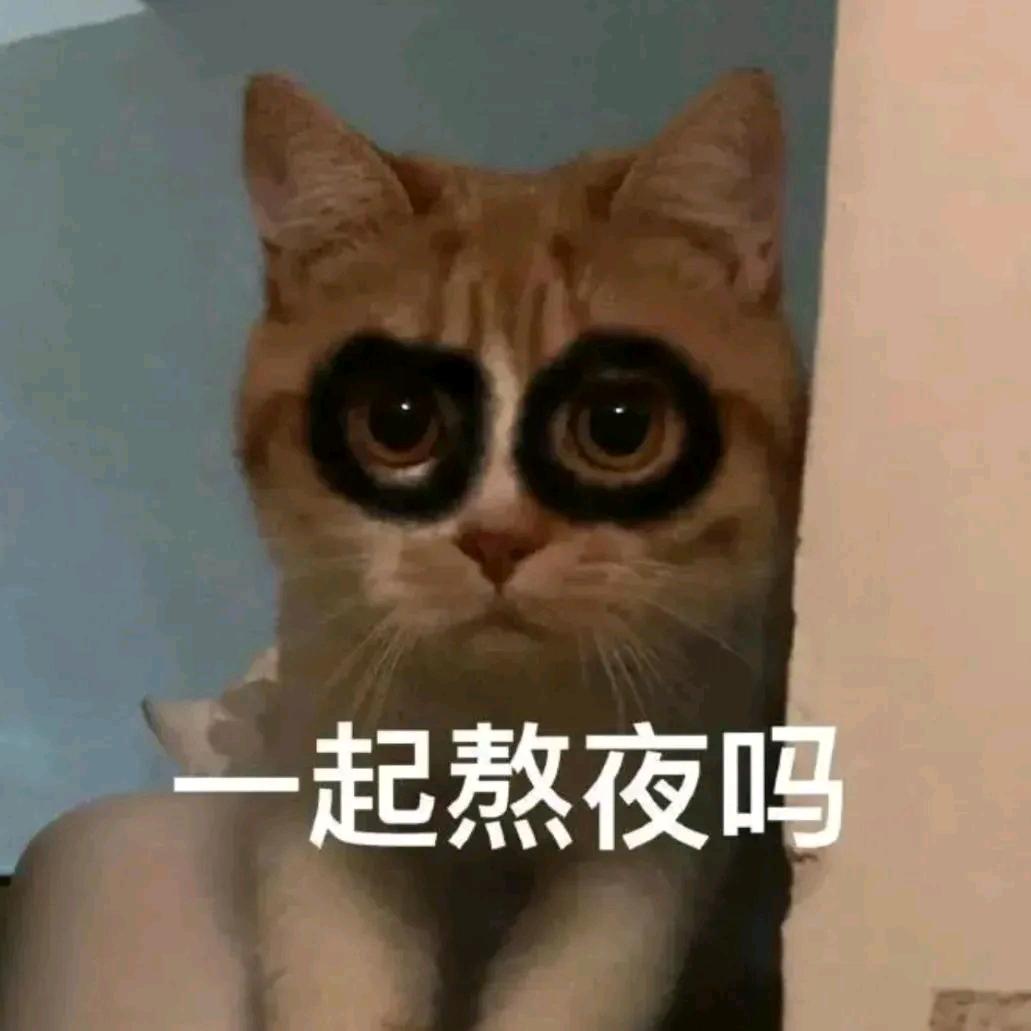 离上岸差10万😔