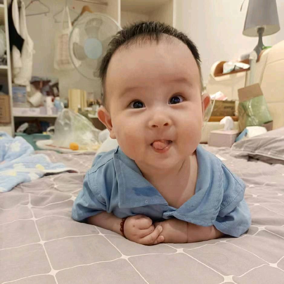 一把香菜。