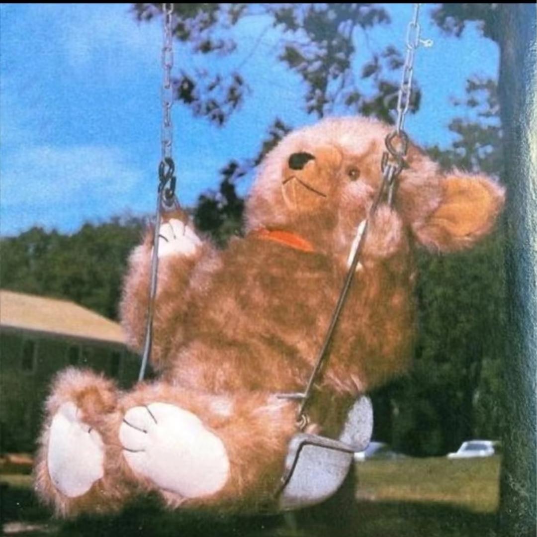 小张今天炸毛了吗