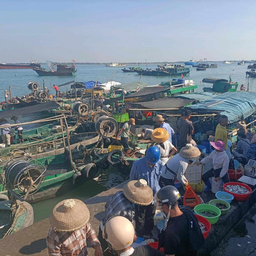 广东湛江妹姐海鲜