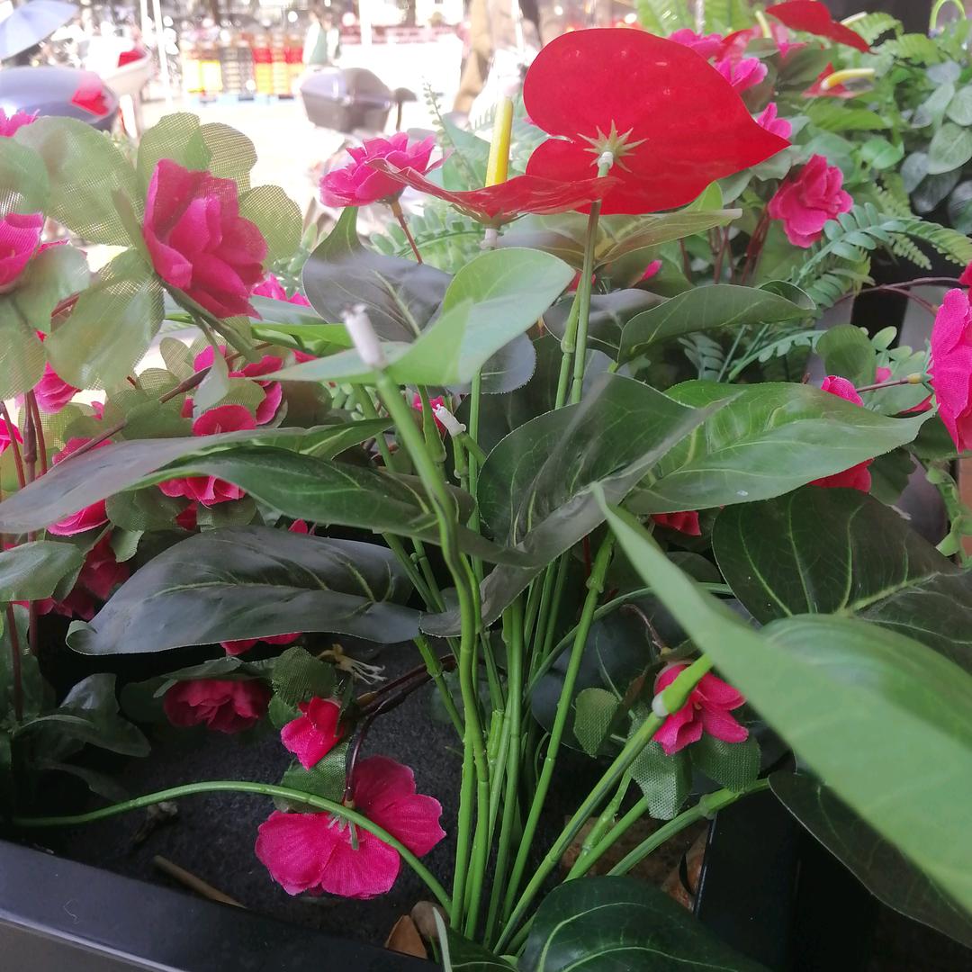 永远不会忘记你