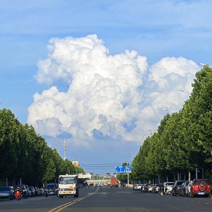 诞逢霖泽