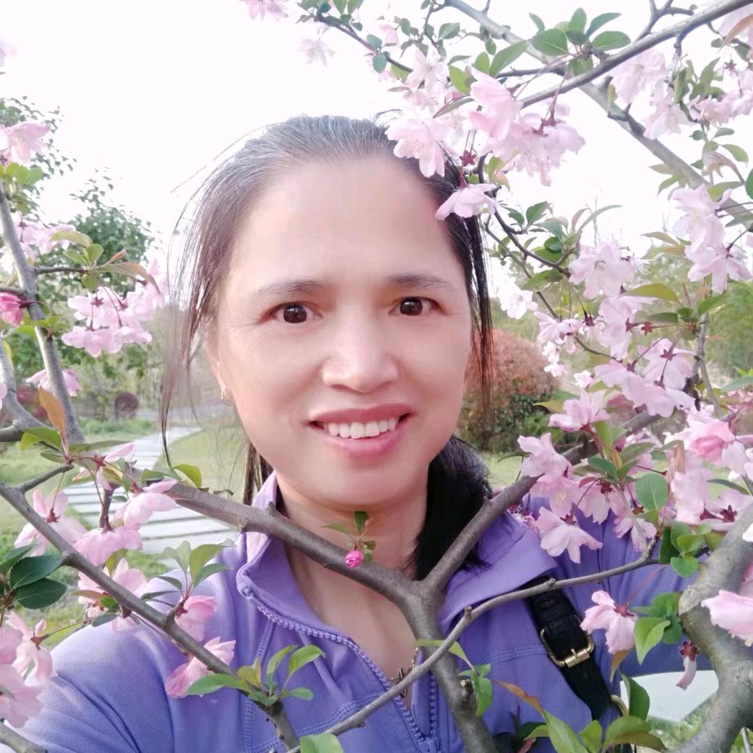 幽之梦2（首播筹备中＞