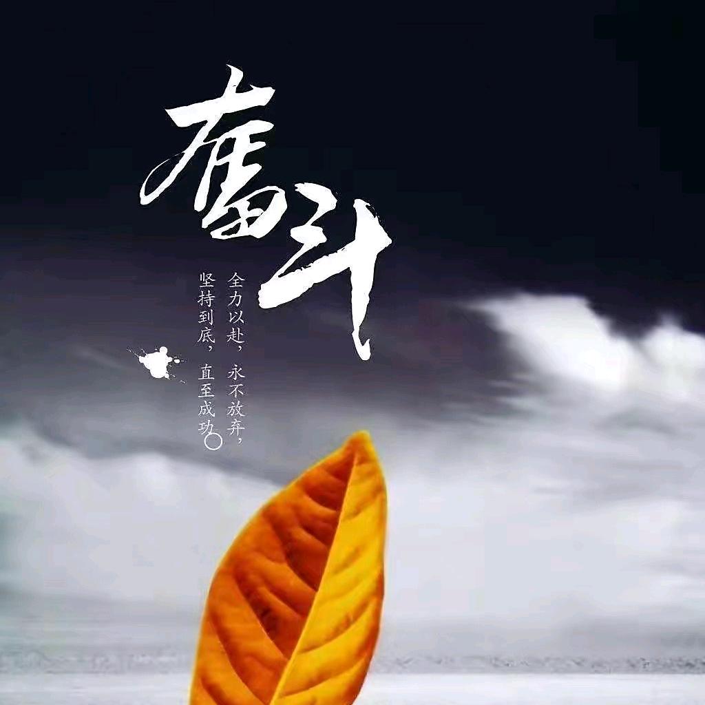 小黄的日常