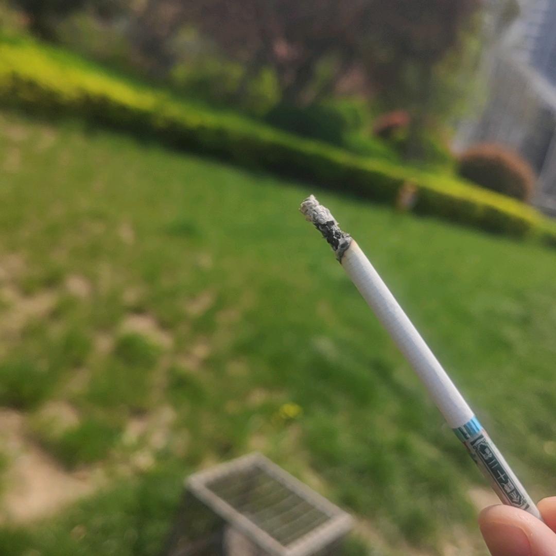 墨迹@虫