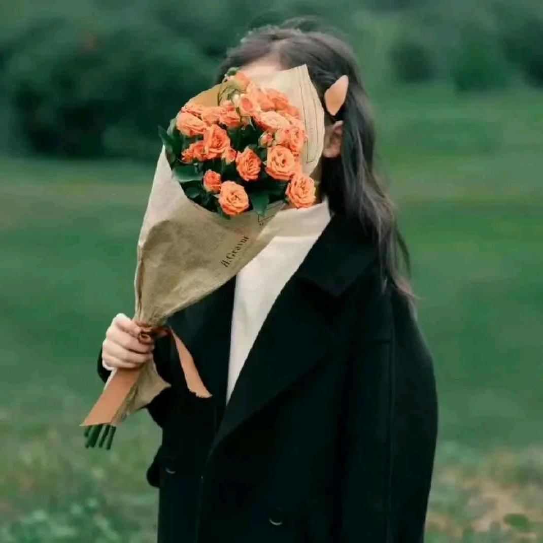 菲儿