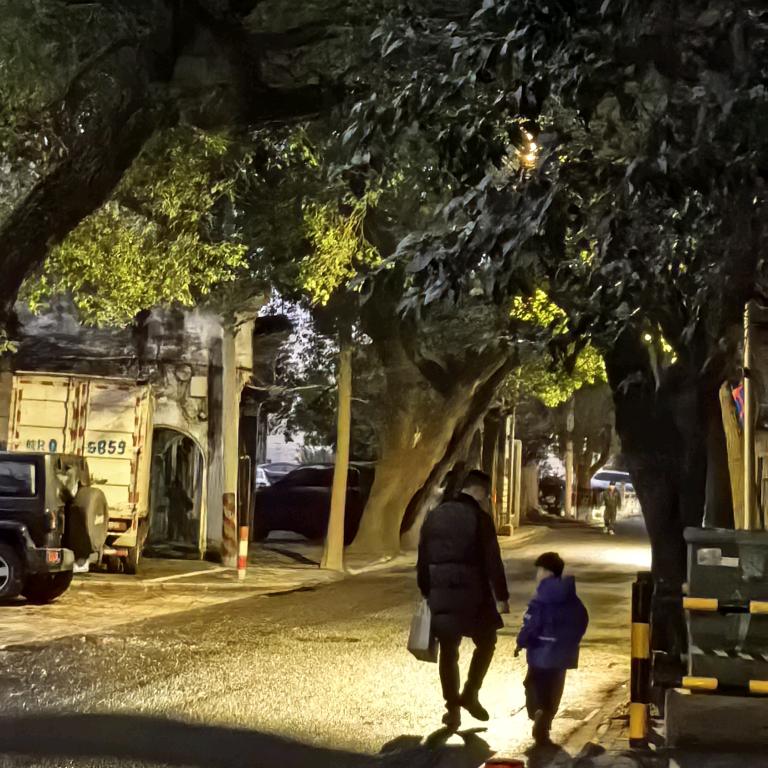 萱丽阳光太阳能路灯