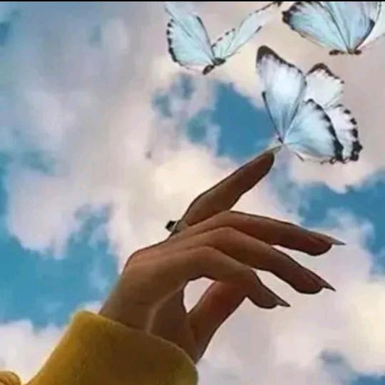 🌈洗衣液蟹🇨🇳