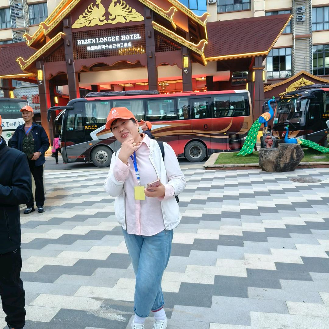 美丽的太阳，杨7265