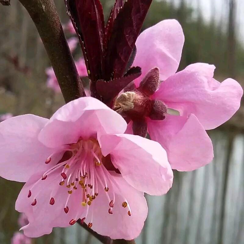 @余生^O^随❤️╭(╯ε╰)╮