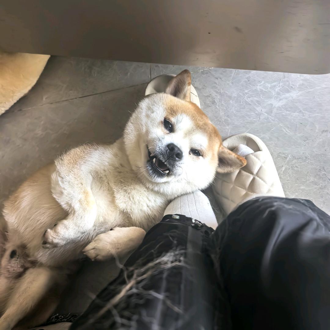 没有网名的阿张