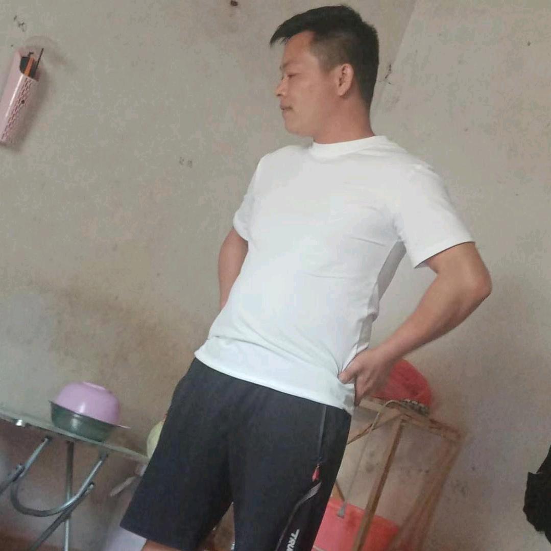 木易楊