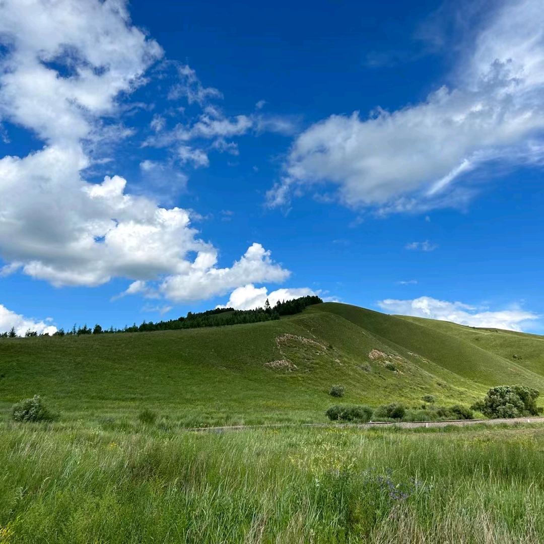 长春冷拔材，型钢