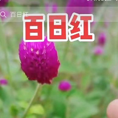 心平