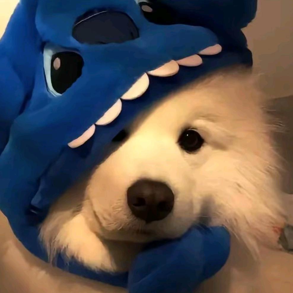 ᝰꫛ焚殺ꫀꪝ