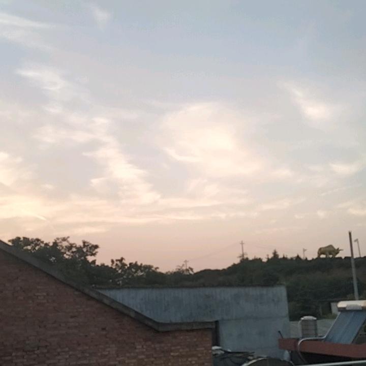 繁华落尽只剩芳华