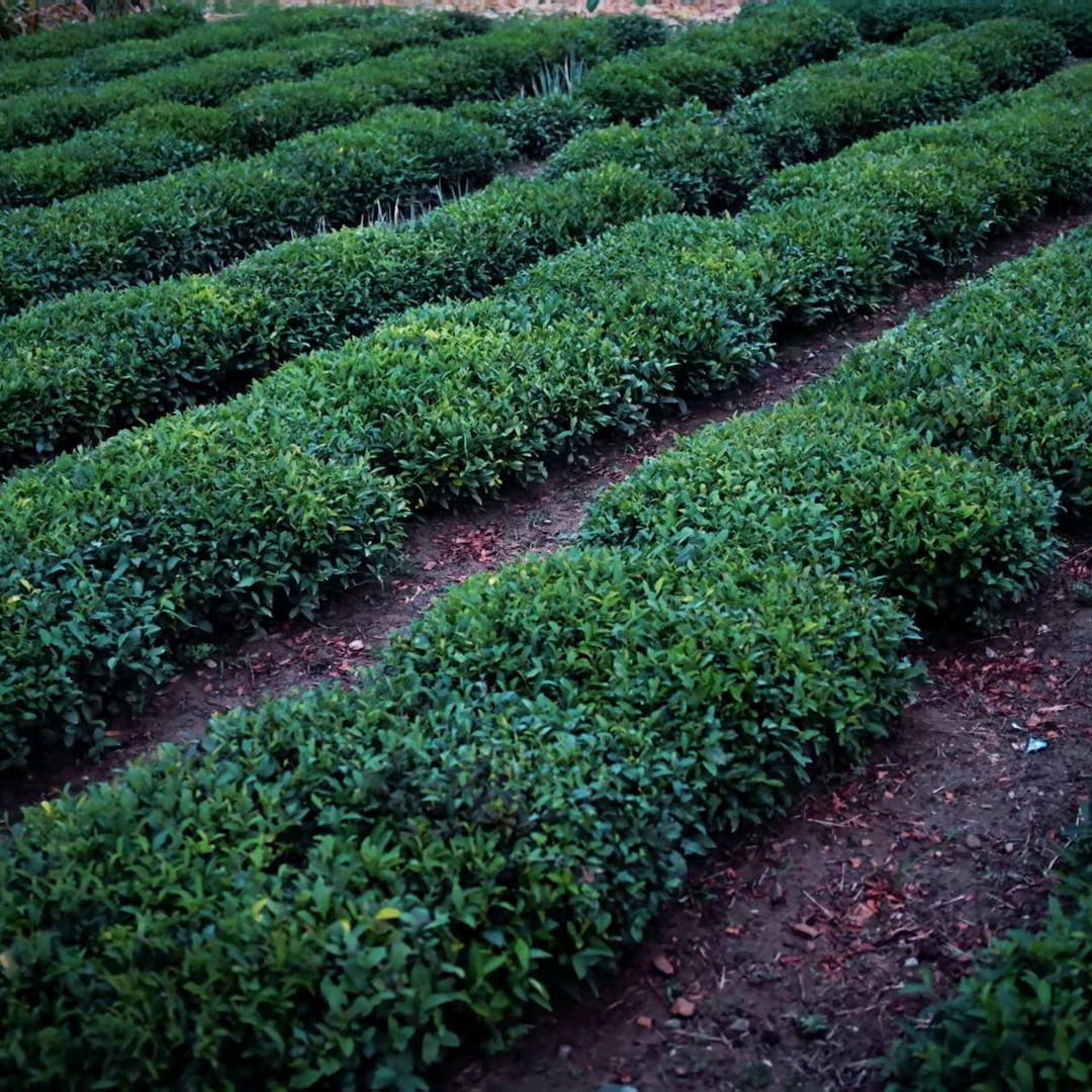 济南恒信职教司马