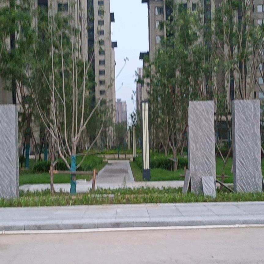 这么大的服务器里挤牙挤