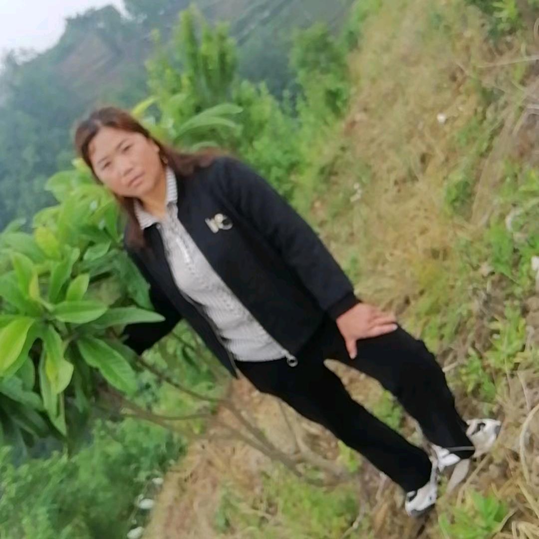 张贤珍