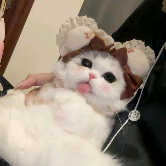鱼