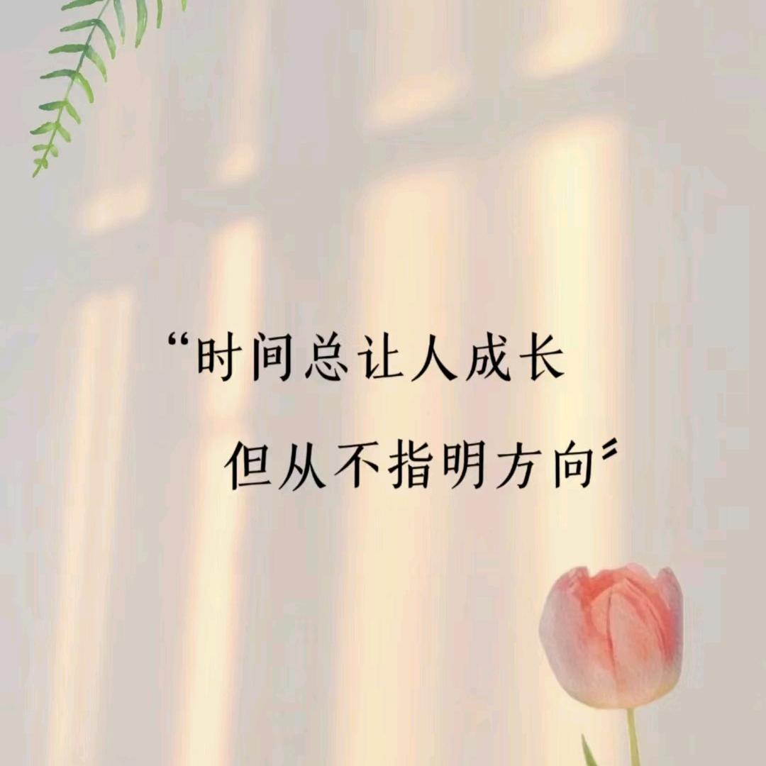 初见梅子味