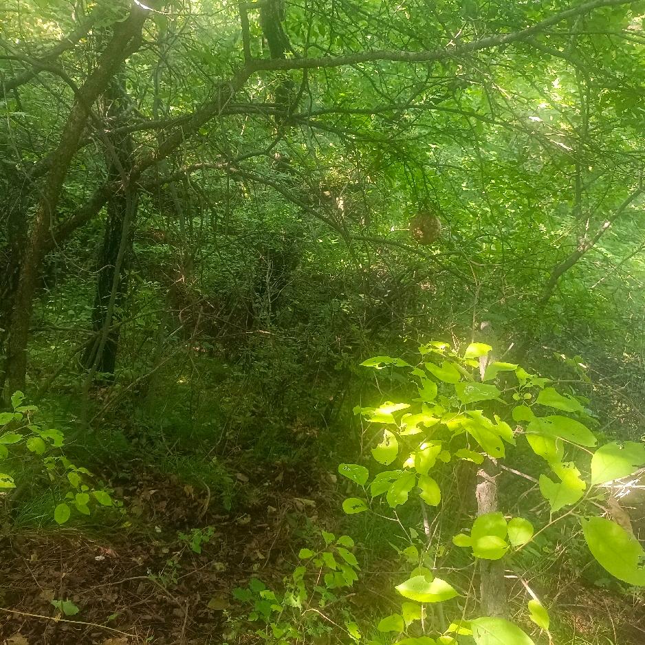 用户6285279129顾1171262