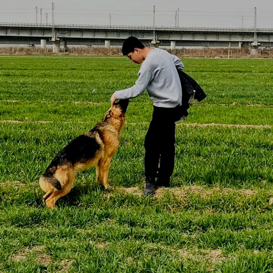 齐教授的清洗日常