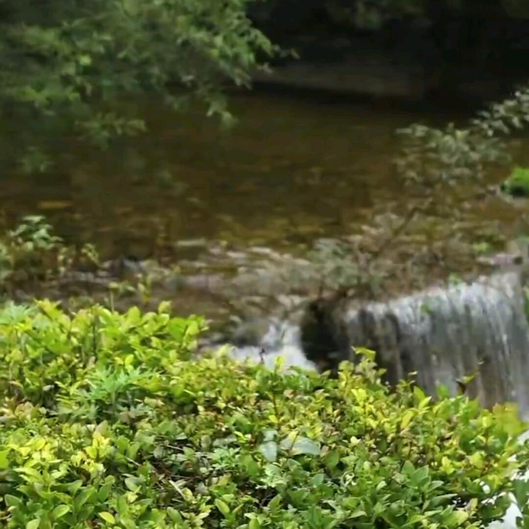 辉煌岁月