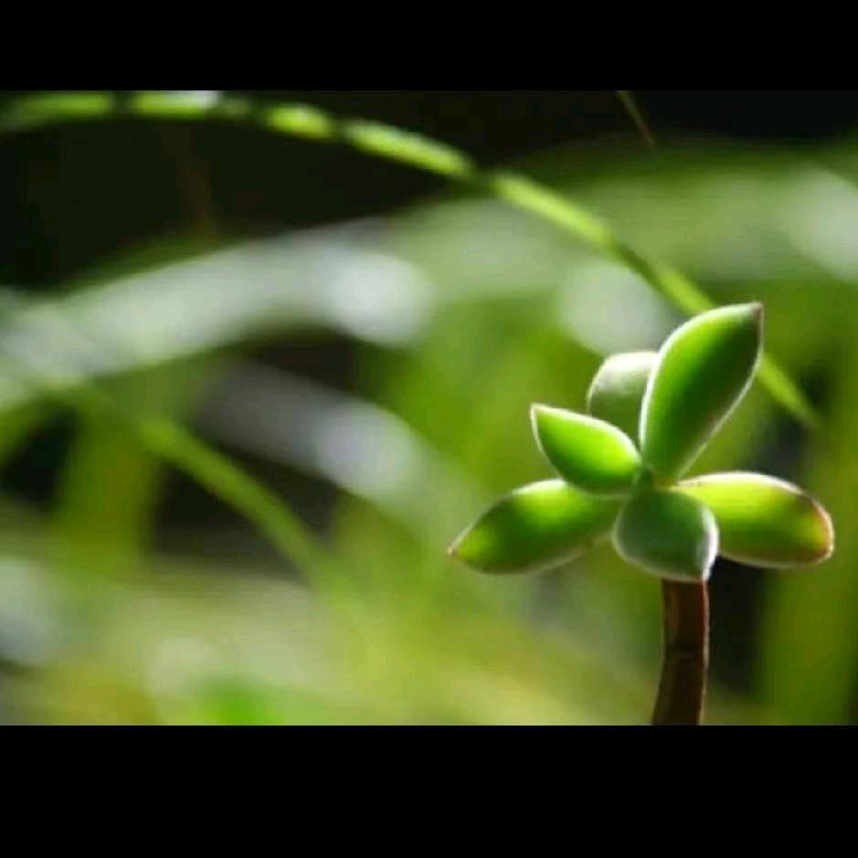 冷暖自知《互免关诚信第一》