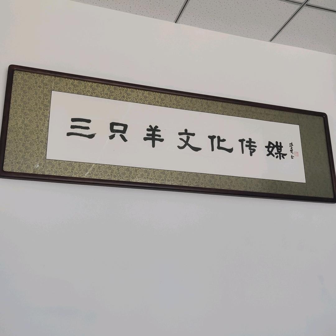 焱森三只羊传媒有限公司